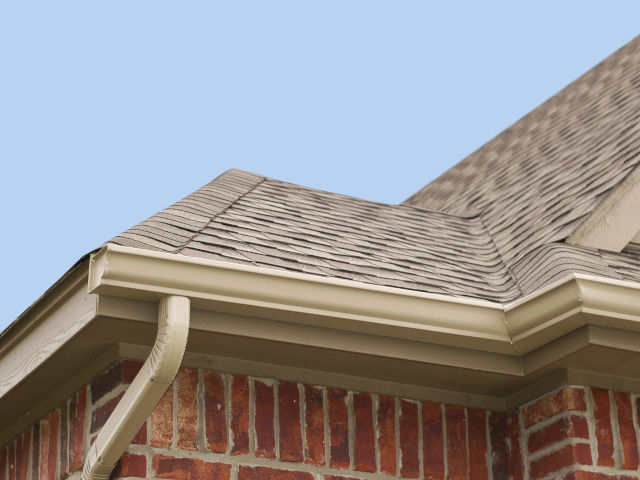 Gutter Cleaning & Roof Washing